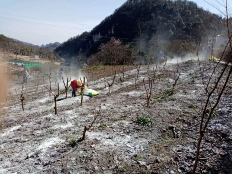 1589962778128820.png 圖片1.png