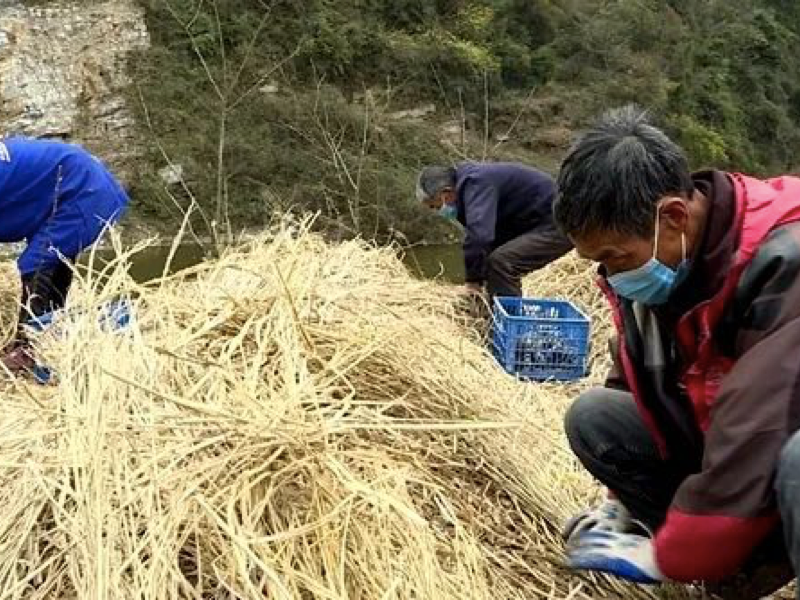 1589962964587597.png 圖片4.png