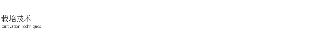 1590131001143972.jpg shiyongjun_10.jpg