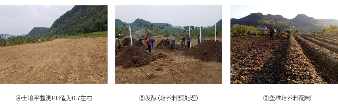 1590131013434022.jpg shiyongjun_14.jpg