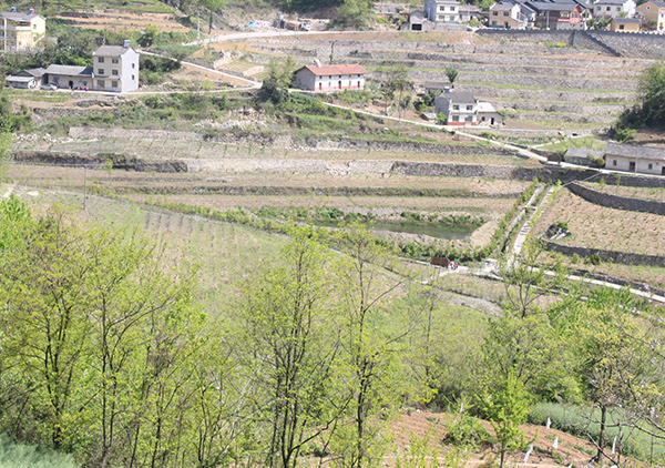 1590373524558376.jpg 1.jpg