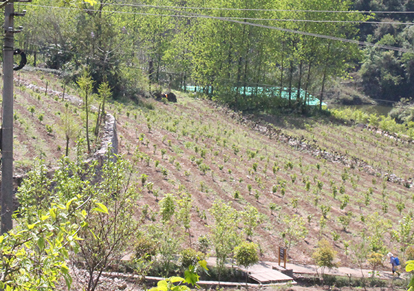 1590375662192615.jpg 2.jpg