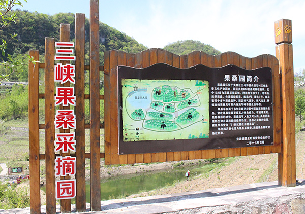 1590375731148681.jpg 6.jpg