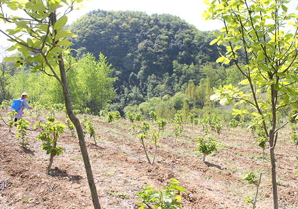 1590375822553504.jpg 7.jpg