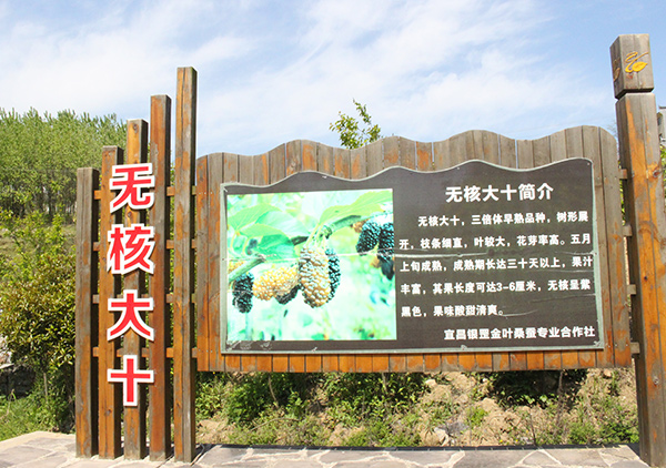 1590375844943848.jpg 8.jpg