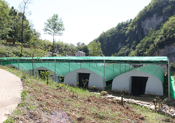 1590375897619039.jpg 9.jpg