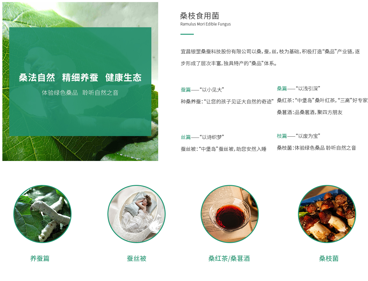 1603418256326968.jpg wenh.jpg