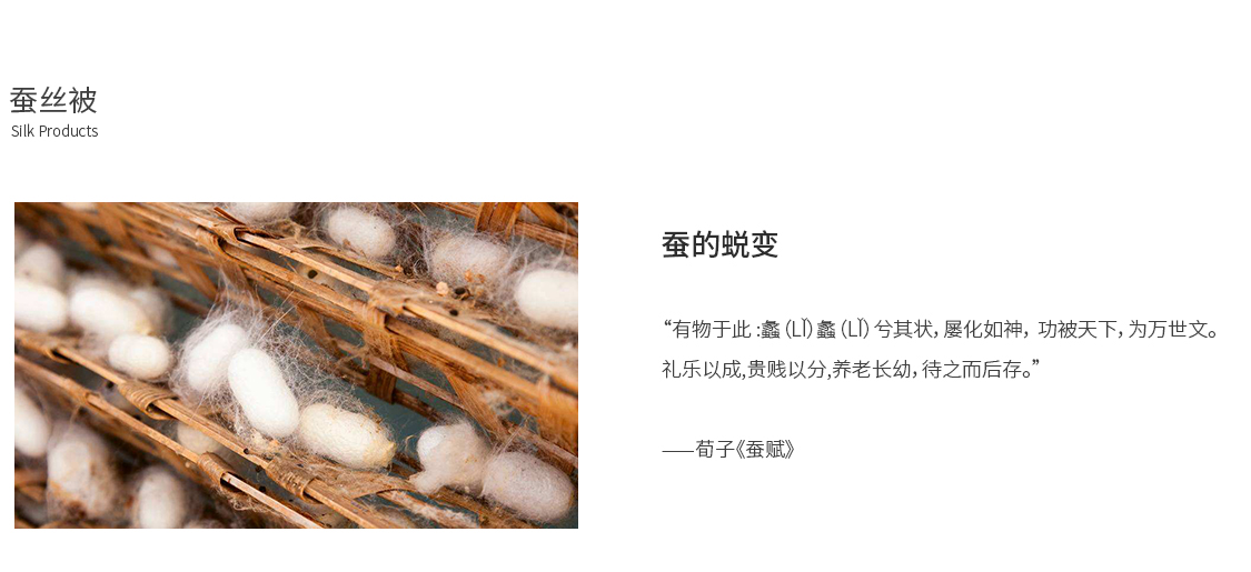 1603418390252671.jpg CANSI_02.jpg