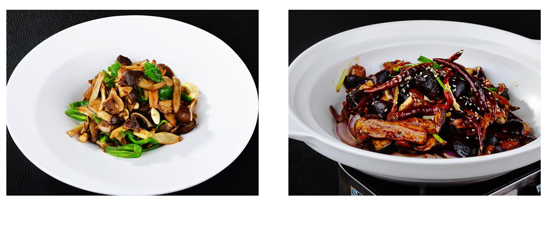 1603418827697248.jpg shiyongjun_06.jpg