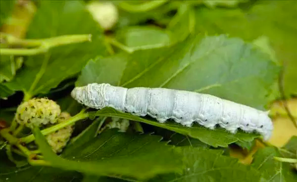 1611021459825756.png 1.png