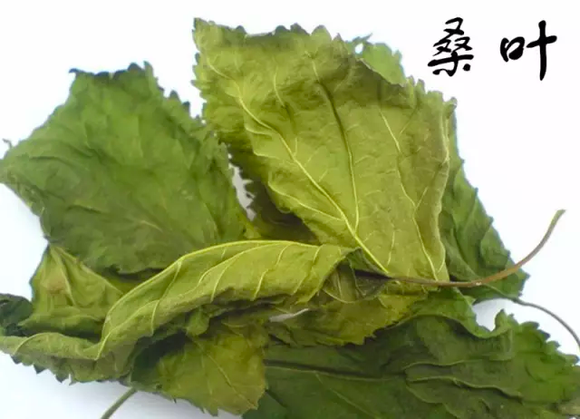 1611021494200686.png 2.png