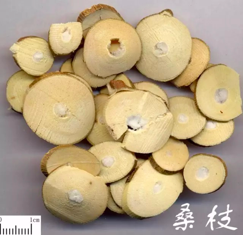 1611021655597419.png 5.png