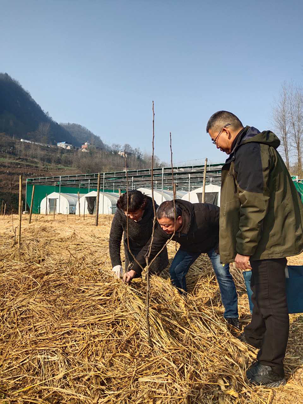 1611887524436537.png image.png