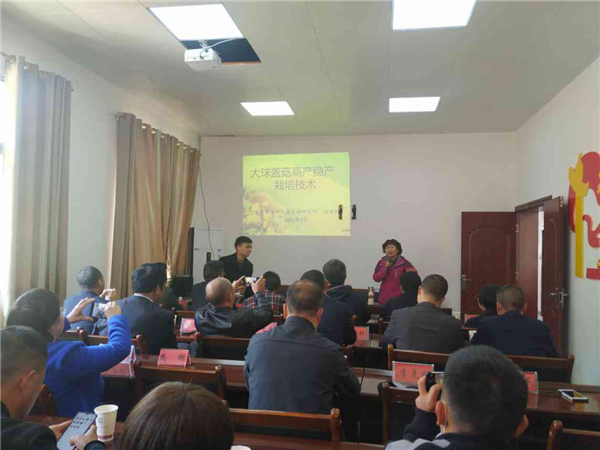 1617261324405708.png 圖片2_副本.png