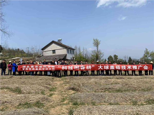 1617261335902341.png 圖片3_副本.png