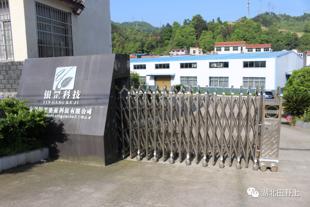 1677654224218317.png 1677654224218317.png