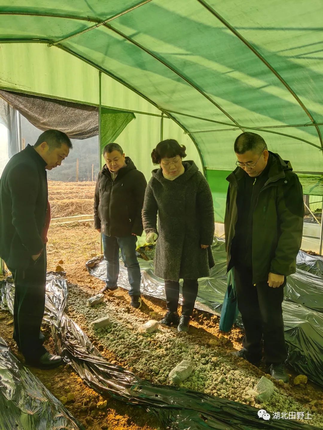 1677654424670085.jpg 1677654424670085.jpg