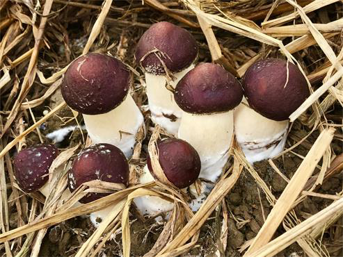 1677748298906900.png 1677748298906900.png