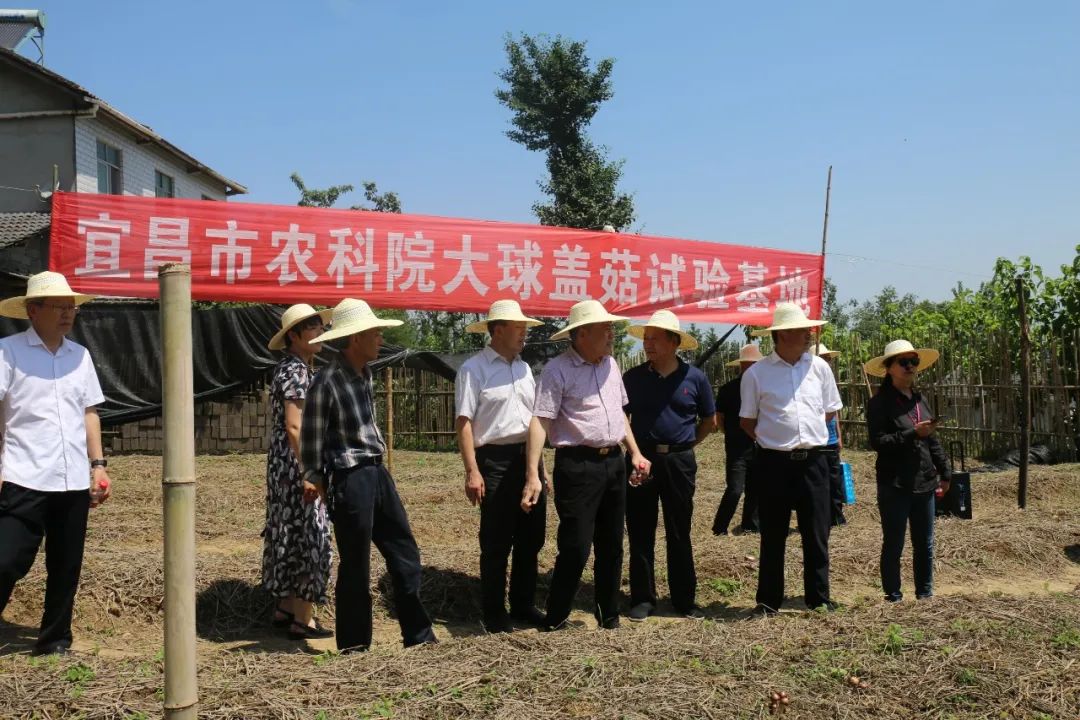 1677833360160550.jpg 1677833360160550.jpg