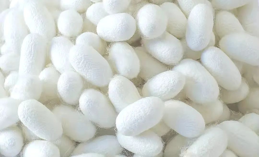 1677833989264756.jpg 1677833989264756.jpg