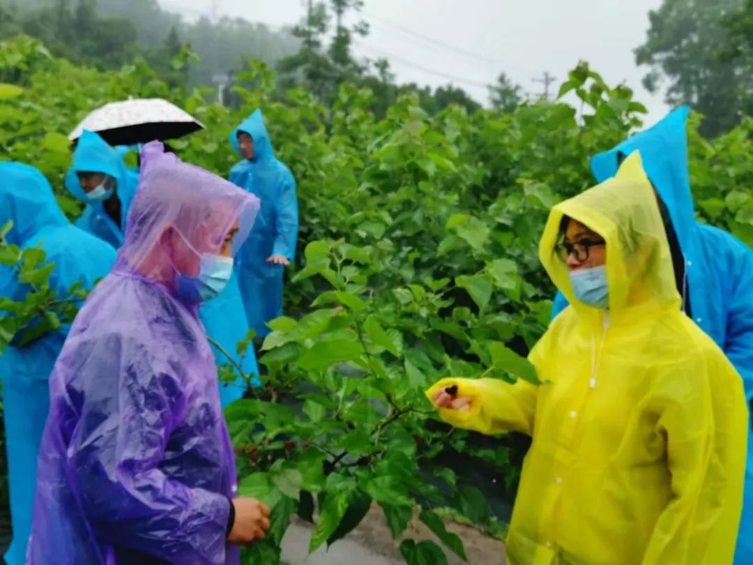 1677834213656296.jpg 1677834213656296.jpg