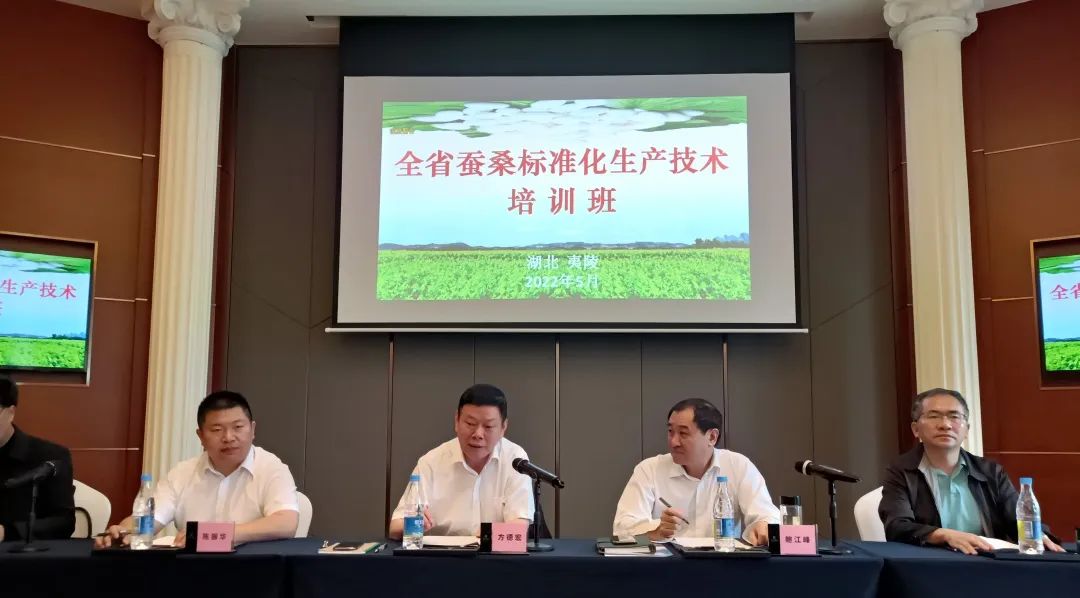 1677834386572024.jpg 1677834386572024.jpg