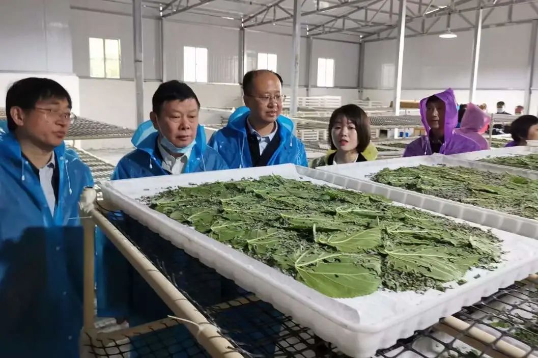 1677834430976095.jpg 1677834430976095.jpg