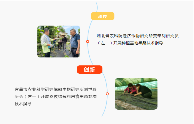 1677835233625589.png 1677835233625589.png