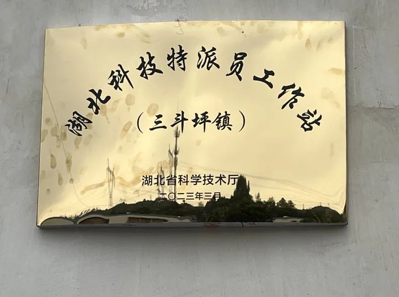 1680490822775156.jpg 1680490822775156.jpg