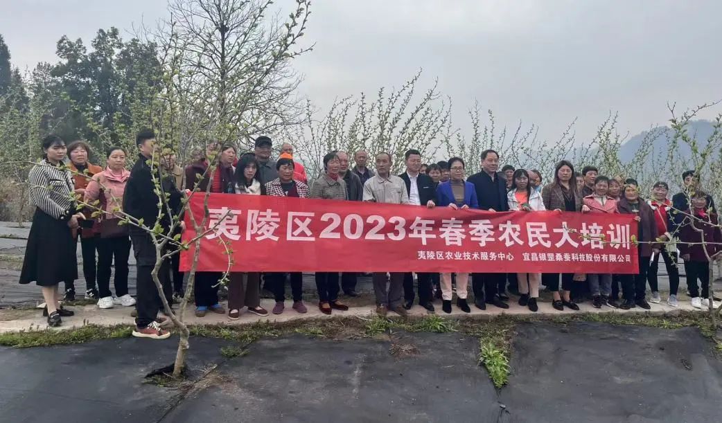 1680490918677242.jpg 1680490918677242.jpg